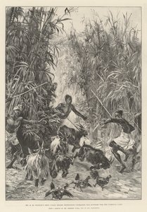 La expedición de socorro de Emin Pasha del Sr. H M Stanley, buscando suministros para el campamento de Yambuya