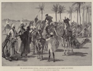El Avance hacia Dongola, Artistas y Corresponsales comprando Camellos y Burros