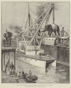 La expedición Looshai, embarcando elefantes a bordo del Simla en Calcuta