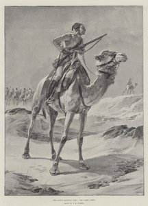 El ejército nativo egipcio, el Cuerpo de Camellos