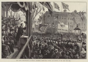 La Demostración del Ulster en Belfast, Procesión pasando por el Sr. Balfour, y quema del Proyecto de Ley de Autonomía