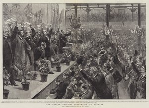 La Convención Unionista del Ulster en Belfast