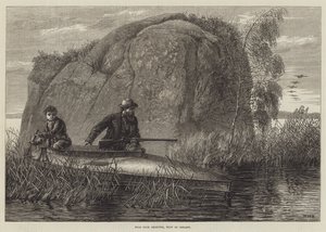 Caza de Patos Salvajes, Oeste de Irlanda