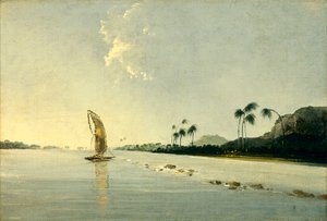 Vista de parte de la isla de Ulietea [Raiatea].