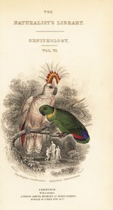 Portada con viñeta de la cacatúa de Major Mitchell y el inseparable de collar negro de William Home Lizars