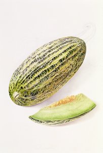 El Marrow Damsha de William Hooker