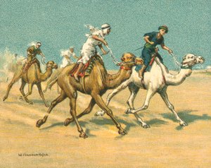 Carreras Históricas y Modernas, Carreras de Camellos