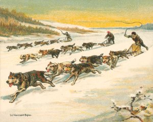 Carreras históricas y modernas, carreras de trineos tirados por perros canadienses de William Hounsom Byles