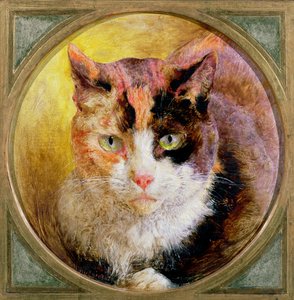 Estudio de Cabeza de un Gato Carey, 1866