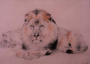 León y Leona de William Huggins
