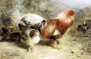 Aves de corral de William Huggins