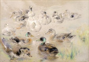 Estudio de Patos de William Huggins