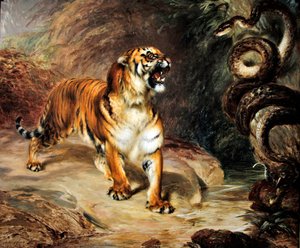 Tigre y pitón