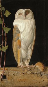 El búho blanco, 1856