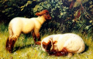 Ovejas, c.1860 de William J. Webbe or Webb