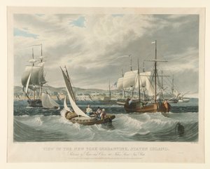 Vista de la cuarentena de Nueva York, Staten Island. de William James Bennett