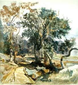 Un sendero en el bosque de William James Muller