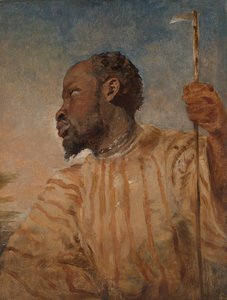 Un africano esclavizado de William James Muller