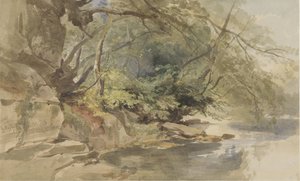 Vista en Stapleton Wood, cerca de Bristol de William James Muller