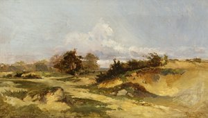 Arenales, Hampstead Heath de William James Muller