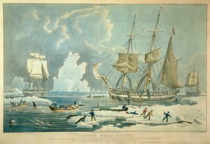 Northern Whale Fishery, grabado por E. Duncan