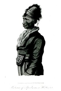Retrato de Speelman, un hotentote, 1814 de William John Burchell