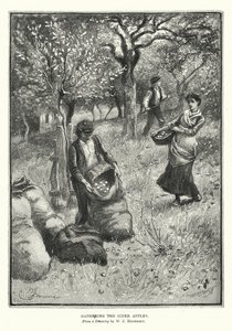Recogida de las manzanas de sidra (litografía) de William John Hennessy
