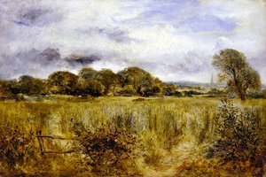 Maíz verde de William Joseph J.C. Bond