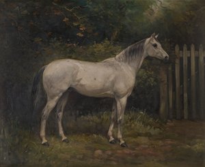 Pickles: un poni de Basuto, c.1904 (óleo sobre lienzo) de William Josiah Redworth