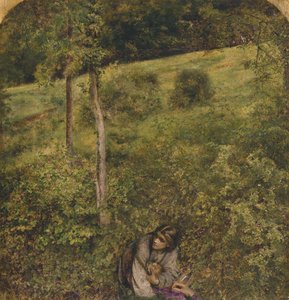 El proscrito de William Lindsay Windus