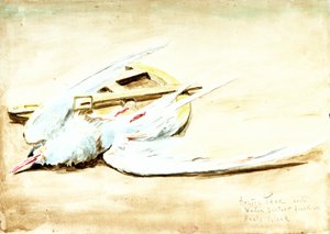 Charrán ártico y un sextante de madera encontrado en la isla de Axel, Spitsbergen, siglo XX (acuarela) de William Lionel Wyllie