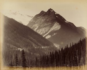 Ross Peak y el Loop desde el Refugio de Nieve nº 19 de William McFarlane Notman