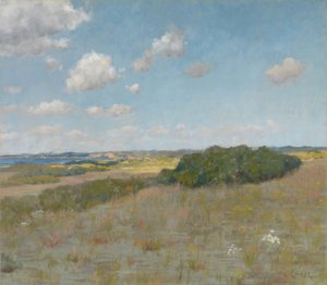 Luz solar y sombra, Shinnecock Hills de William Merritt Chase