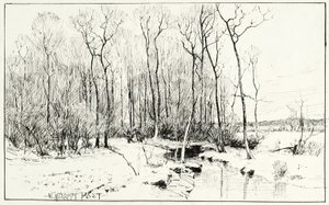 Sin título, paisaje de invierno