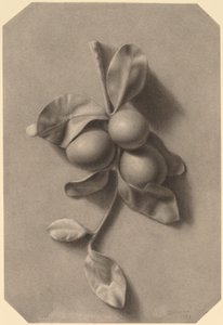 Una ramita de ciruelas de William Michael Harnett