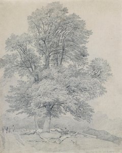 de William Mulready