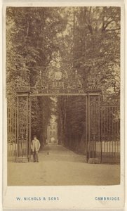 Avenida Trinity Cole de William Nichols and Sons