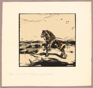 El caballo Shire
