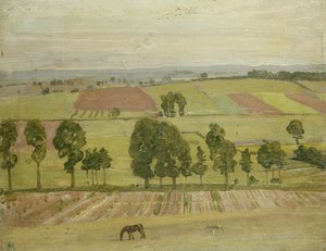 Llanura de Glastonbury