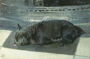 Napoleón