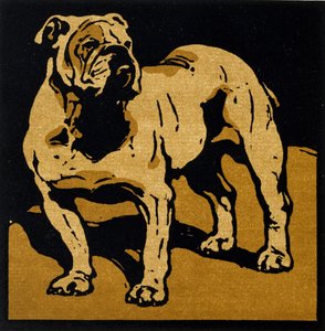 El Bull-Dog británico, de "The Square Book of Animals", publicado por William Heinemann