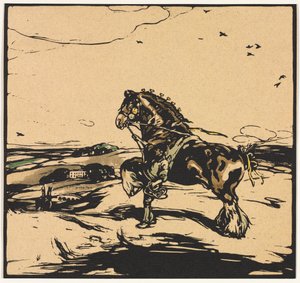 el caballo de la comarca