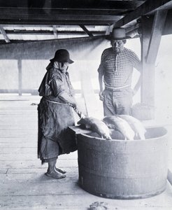 Limpiador de salmón indio, cerca de New Westminster, Columbia Británica (Provincia de Canadá)
