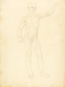 (Un Ecorche, vista frontal) de William Page