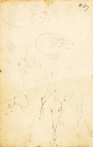 (Estudios--figuras, tronco, caballo y jinete, etc.)