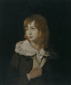 Retrato de un niño, John Parry of Garden, c.1788-89 (óleo sobre lienzo) de William Parry