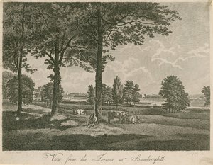 Vista desde la terraza de Strawberry Hill, Londres de William Pars