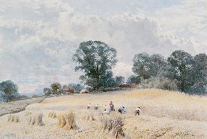 La cosecha de William Paton Burton