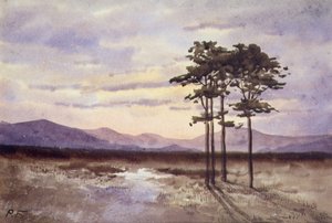 Atardecer, Condado de Sligo de William Percy French