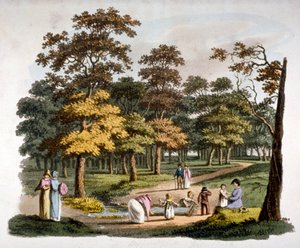 Vista del pozo de inmersión en Hyde Park, Westminster, Londres de William Pickett